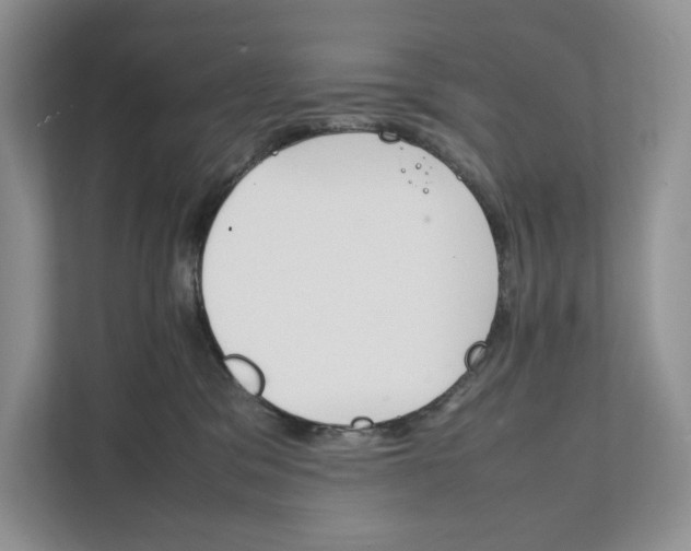 X0000111810329200908061120