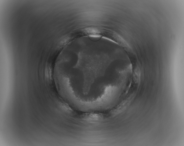 X0000111810330200908061120