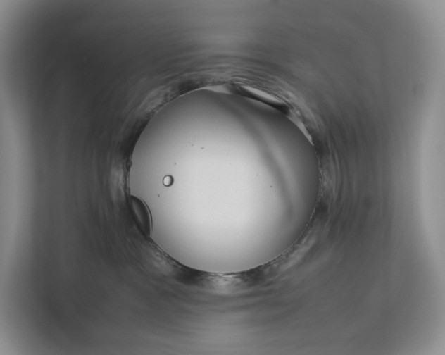 X0000111810333200908061120