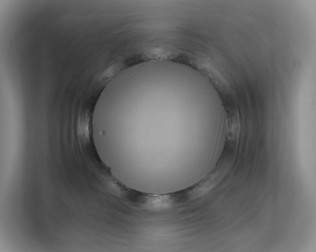 X0000111810334200908061120