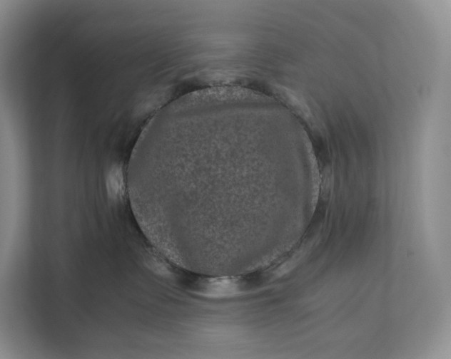 X0000111810335200908061120