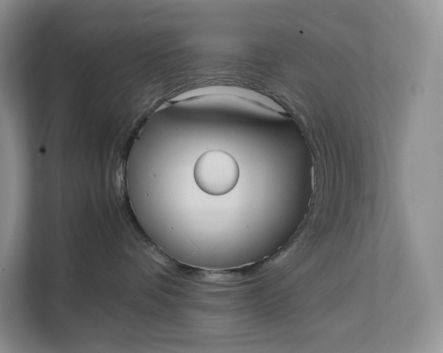 X0000111810336200908061120