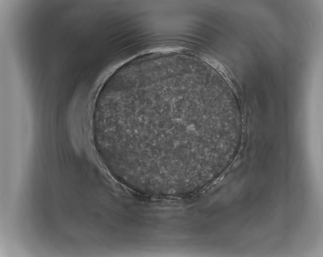 X0000111810337200908061119