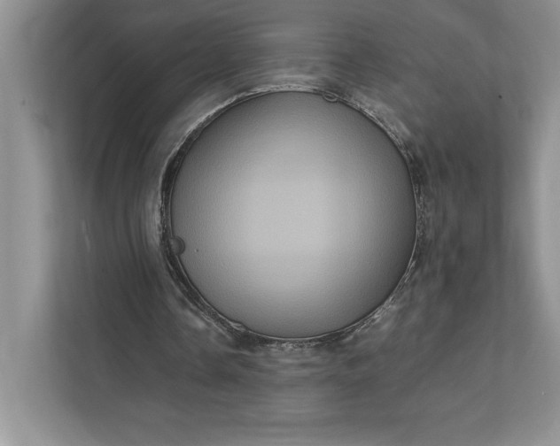 X0000111810338200908061119