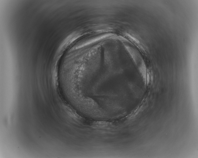 X0000111810339200908061120