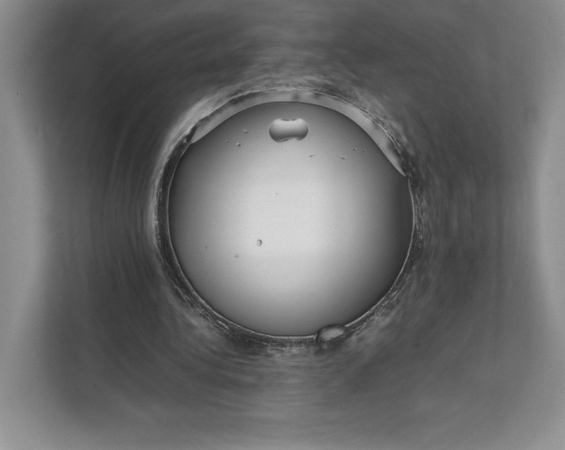 X0000111810340200908061120