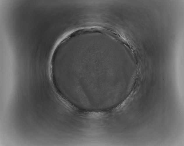 X0000111810342200908061120