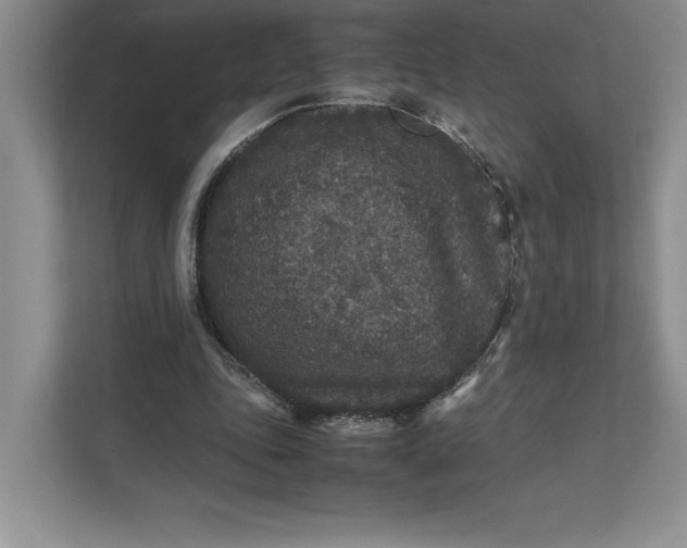 X0000111810343200908061120