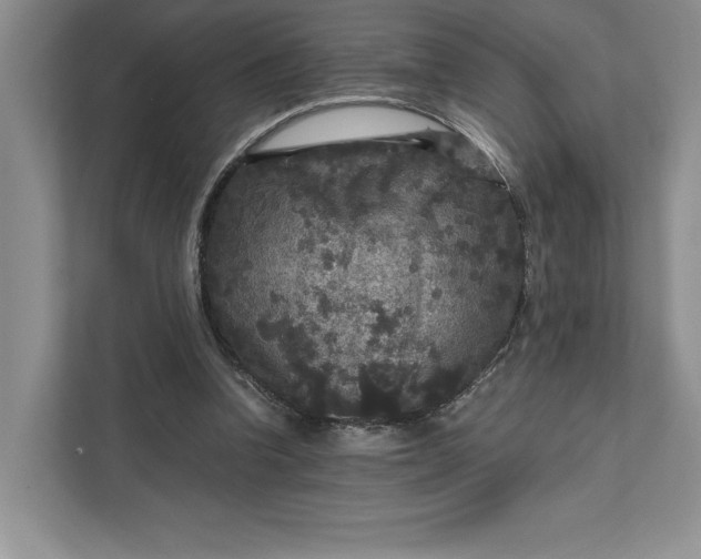 X0000111810346200908061120