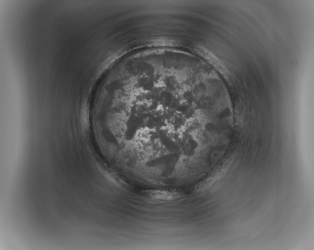 X0000111810347200908061120