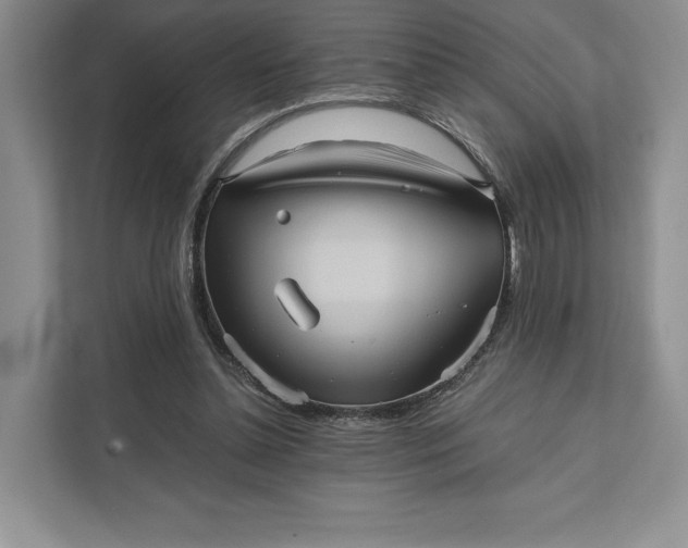 X0000111810348200908061120