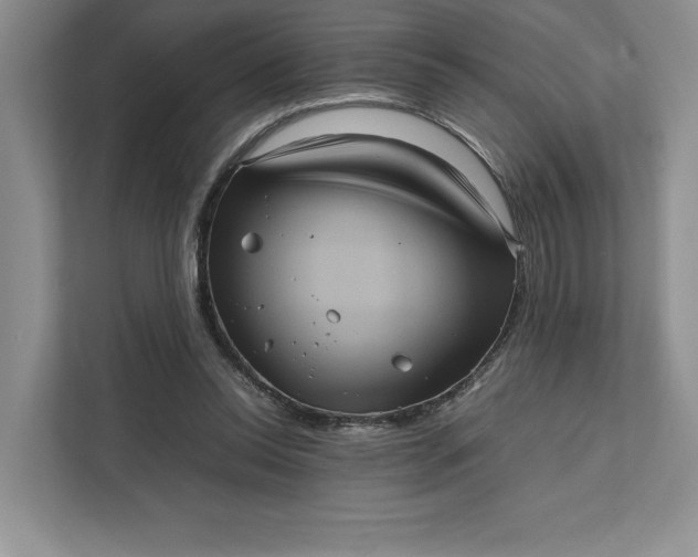 X0000111810350200908061120
