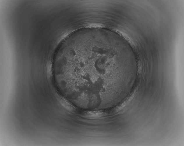 X0000111810351200908061120
