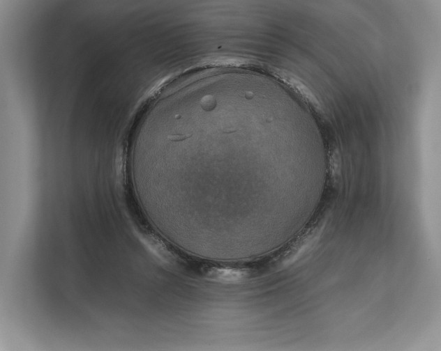 X0000111810352200908061120