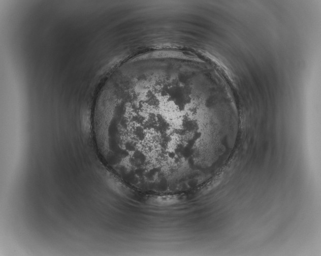 X0000111810353200908061120