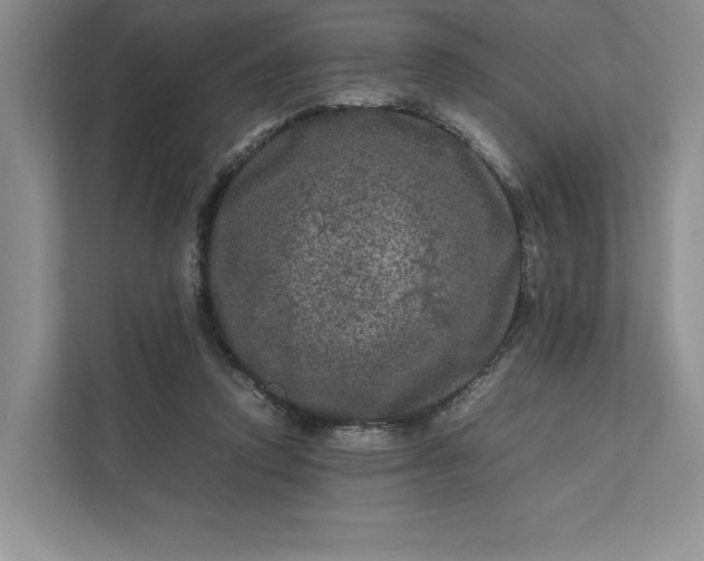 X0000111810354200908061120