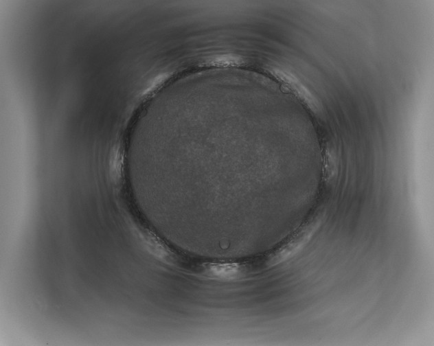 X0000111810355200908061120