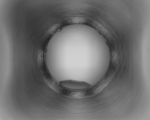 X0000111810356200908061120