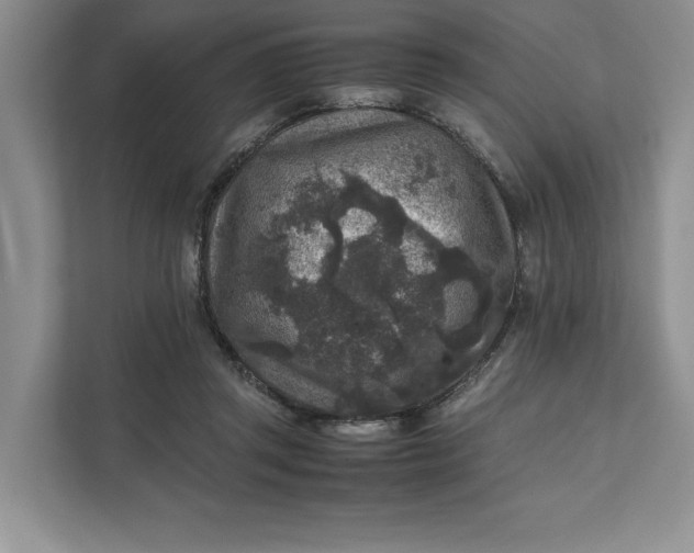 X0000111810357200908061120