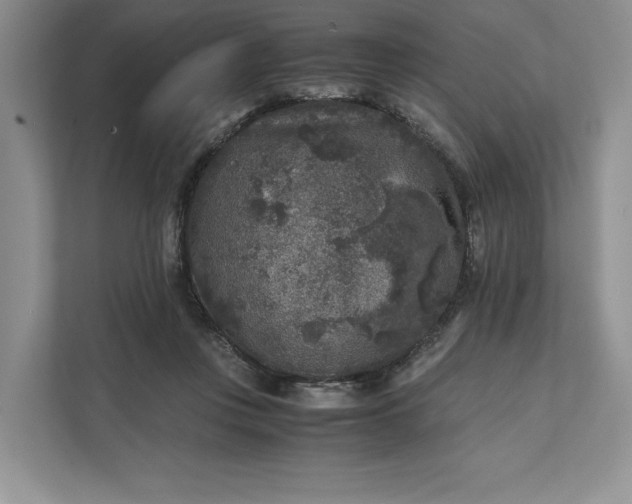 X0000111810359200908061120