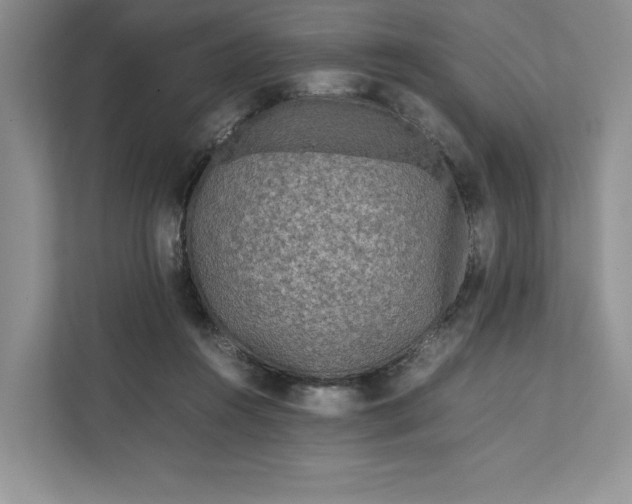 X0000111810360200908061120