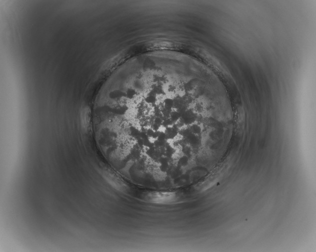 X0000111810361200908061120