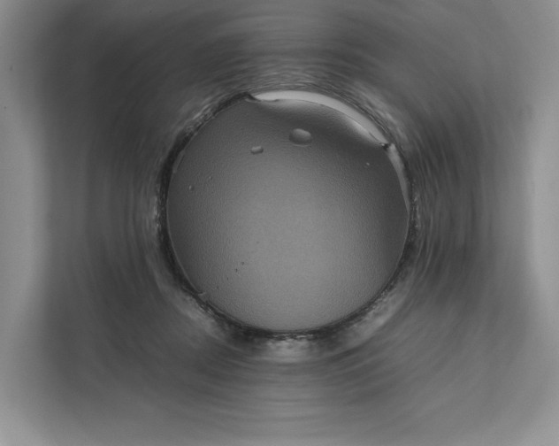 X0000111810362200908061120