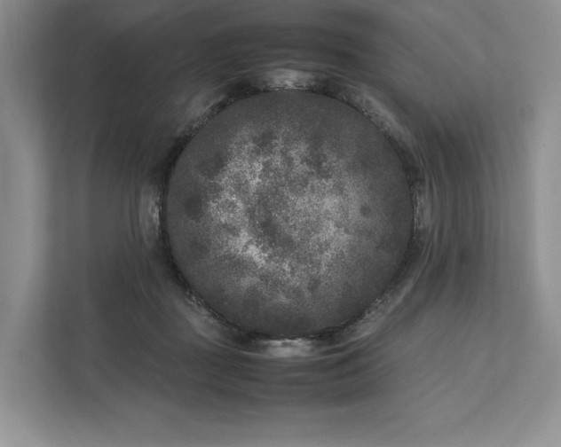 X0000111810363200908061120