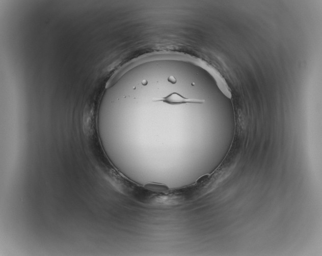 X0000111810364200908061120
