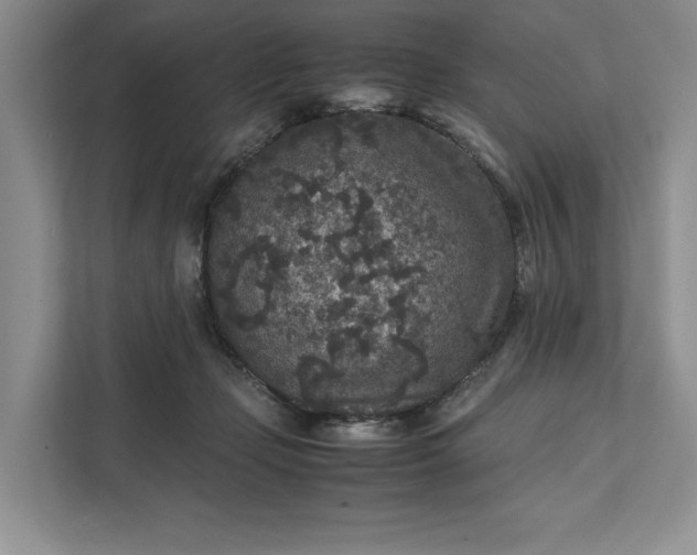 X0000111810365200908061120