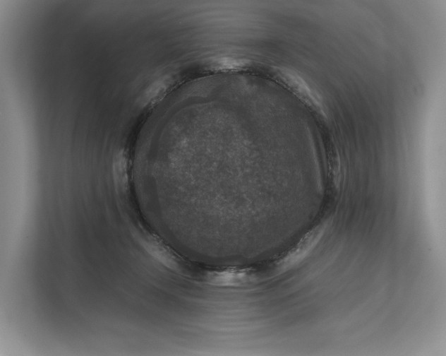 X0000111810366200908061120