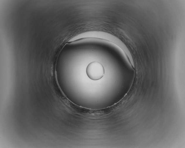 X0000111810368200908061120