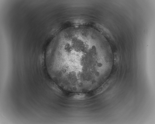 X0000111810369200908061120