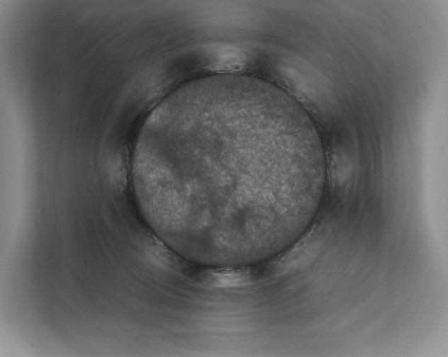 X0000111810370200908061120