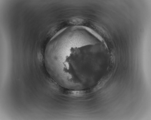 X0000111810371200908061120