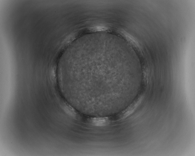 X0000111810373200908061120
