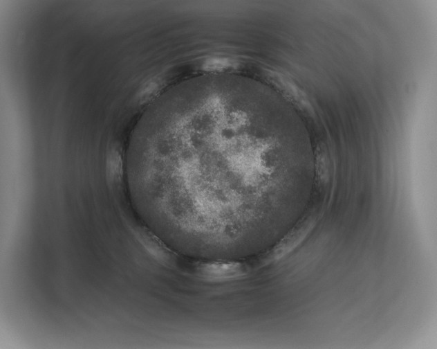 X0000111810375200908061120