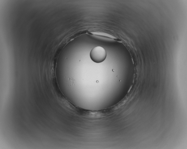X0000111810376200908061120