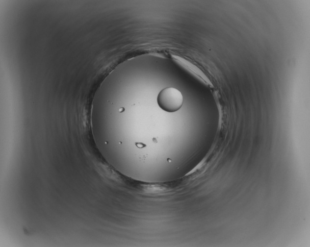 X0000111810380200908061120