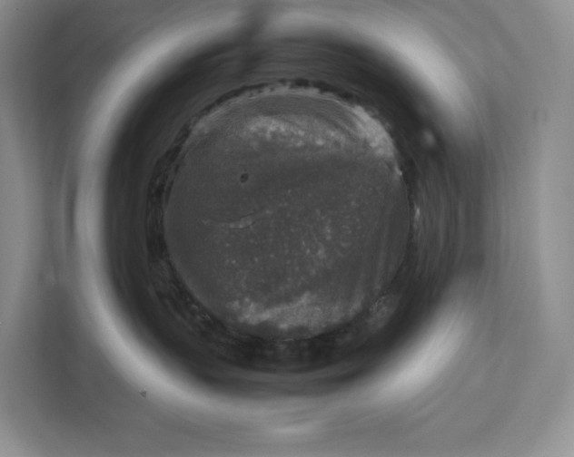 X0000111810383200908061120