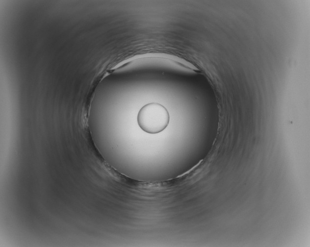 X0000111810384200908061120