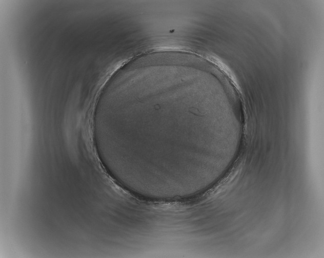 X0000111810385200908061119
