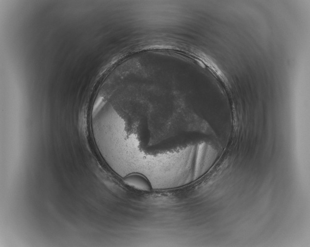 X0000111810386200908061119