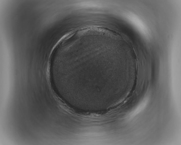 X0000111810387200908061119