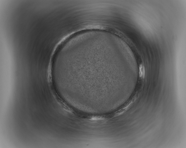 X0000111810388200908061119