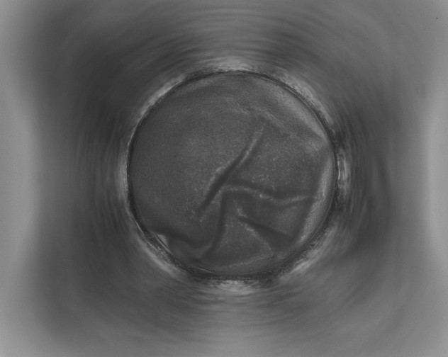X0000111810390200908061119