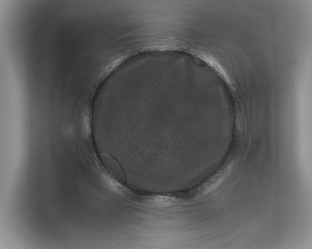 X0000111810393200908061119