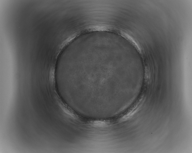 X0000111810394200908061119