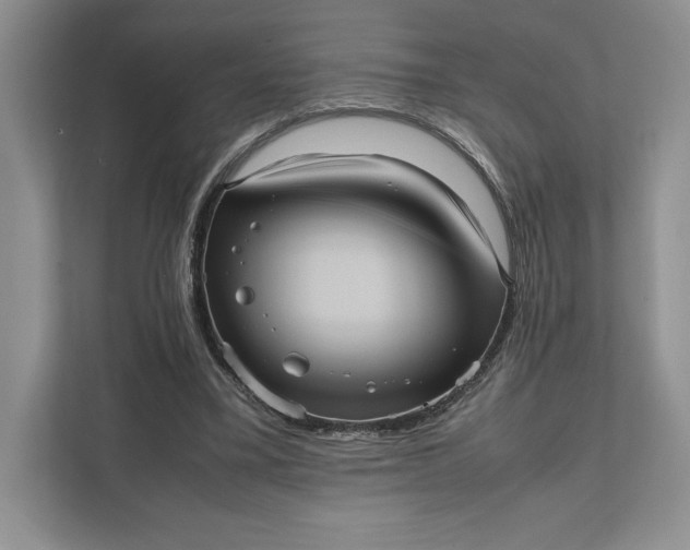 X0000111810395200908061119