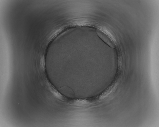 X0000111810397200908061119